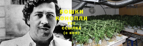 прущий лед Рославль